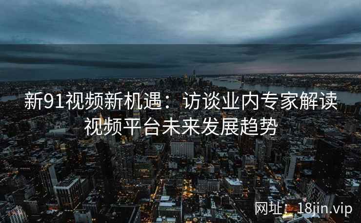 新91视频新机遇：访谈业内专家解读视频平台未来发展趋势