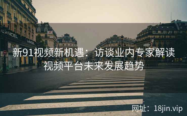 新91视频新机遇：访谈业内专家解读视频平台未来发展趋势