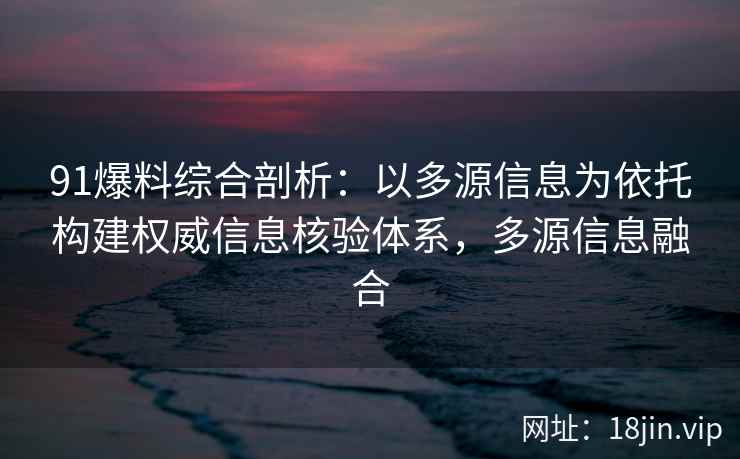 91爆料综合剖析：以多源信息为依托构建权威信息核验体系，多源信息融合