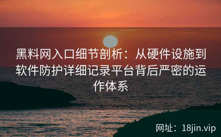黑料网入口细节剖析：从硬件设施到软件防护详细记录平台背后严密的运作体系