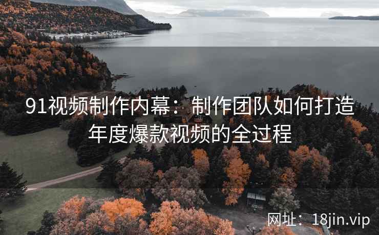 91视频制作内幕：制作团队如何打造年度爆款视频的全过程