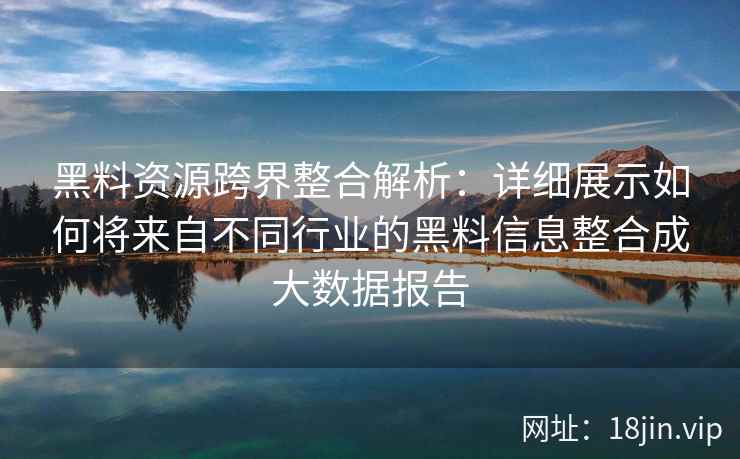 黑料资源跨界整合解析：详细展示如何将来自不同行业的黑料信息整合成大数据报告