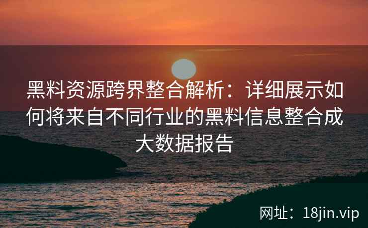 黑料资源跨界整合解析：详细展示如何将来自不同行业的黑料信息整合成大数据报告