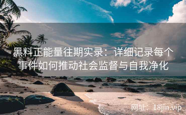 黑料正能量往期实录：详细记录每个事件如何推动社会监督与自我净化