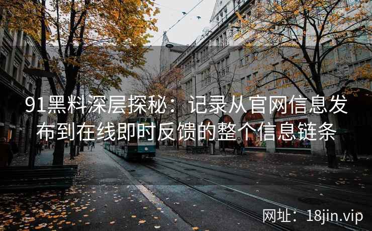 91黑料深层探秘：记录从官网信息发布到在线即时反馈的整个信息链条