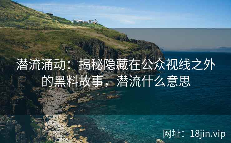 潜流涌动：揭秘隐藏在公众视线之外的黑料故事，潜流什么意思