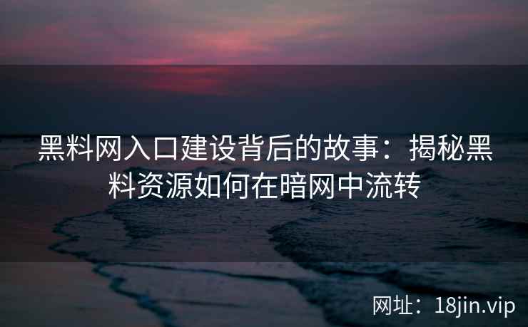 黑料网入口建设背后的故事：揭秘黑料资源如何在暗网中流转